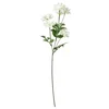 SMYCKA Veštački cvet, unutra/spolja Dalija/bela, 66 cm