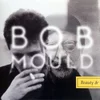 Bob Mould - Beauty & Ruin (LP)