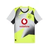 PUMA Borussia Dortmund 25/26 Replica Away Jersey Men, Sport, Silver Mist/Yellow Alert, S