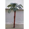 Lilium stablo palme 2,1m A10465