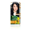 Garnier GAR COLOR N Barva št. 2.10 Mirtila
