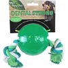 GB IGRAČA DENTAL STRONG MINT