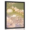 Plakat tihožitje iz cvetov - 30x45 no frame