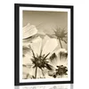 Plakat s paspartujem vrtni cvetovi v sepia varianti - 30x45 no frame