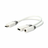 Nedis USB-C adapter | USB 2.0 | USB-C moški | USB-C ženski / 3,5 mm ženski | 0,10 m | Okrogla | Pozlačeno | PVC | Bela | Škatla