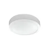 LED plafonjera 18W, promenljiva boja svetla