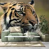 Fototapeta bengalski tiger - 294x270