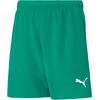 Puma Teamrise Short Jr
