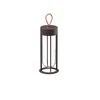 Flos Architectural FLOS In Vitro Unplugged LED luč rjave barve 2700K - Dizajn - temno rjava - Kovina