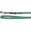 FLAMINGO povodec za trening Delu, zelen, 205cm, 20mm