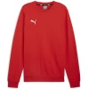 Mikica Puma teamGOAL Caual Crew Neck weat