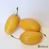 Umetni mango ( 10 kos) 15 cm