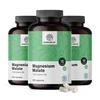3x Magnezijev malat 2000 mg, skupaj 720 kapsul