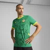 Mens Puma Senegal 2025 Away Jersey, Green, Size XXL, Clothing