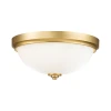 Feiss FE-MALIBU-F-BATH-BB-Plafonsko svetlo za kupatilo MALIBU 2xE27/60W/230V IP44