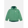 THE NORTH FACE Zunanja jakna PERRITO zelena / bela