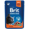 BRIT Premium kesica sa lososom sterilisanim za mačiće 100 g.