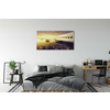 tulup.si Slika na platnu Plane mesto zahod 120x60 cm