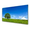 tulup.si Slika na akrilnem steklu Grass tree narava 120x60 cm 4 obešalnika