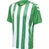 moški dres hmlCORE XK STRIPED