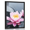 Plakat lotosov cvet v jezeru - 30x45 no frame
