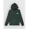 DC Eye Of The Storm Kids Hoodie deep forest