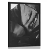 Plakat list monstere v črnobeli varianti - 30x45 no frame