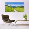 tulup.si Slika na steklu Mountain travnik dolina pot 140x70 cm 2 obešalnika