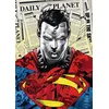 Trefl Puzzle Premium Plus: Superman 1000 kosov
