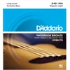 DAddario EPBB 170