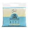 BESTA Prostirke za pse Regular, 100 kom, 60x60cm
