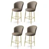 HANAH HOME Set 4 barske stolice Fora Cappuccino Gold