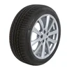 Continental WinterContact TS 870 P ( 225/55 R17 101V XL EVc )