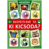Bogyó in Babica: Kdo je kdo? spominska igra