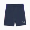 PUMA Individualliga Training Shorts Men, Dark Blue