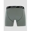 REELL Trunks Boksarice grey green