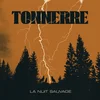 Tonnerre - La Nuit Sauvage (Limited Edition) (LP)