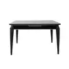 Hanah Home Trpezarijski sto Star 120x75x79cm Crno-Srebrni