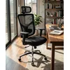 Ergovision Ergonomski pisarniški stol Essent Balance | Barva: Črna