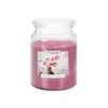 eoshop Sveča v kozarcu SPA VRT dišeč 500g