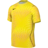 Nike Dres Dri-FIT Gardien VI Goalkeeper