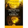 Princess and the Goblin
