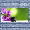 tulup.si Slika na steklu Orhideje green flowers 140x70 cm 4 obešalnika