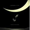 Tedeschi Trucks Band - I Am The Moon: III. The Fall (LP)
