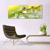 tulup.si Slika na akrilnem steklu Leaf ladybugs narava 125x50 cm 4 obešalnika