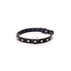 Gardj Europe Fetish B – serija – ovratnica 2 cm, srebrna s kristali