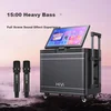 HiVi Karaoke zvučnik sa 2 mikrofona TS59, Bluetooth, Wifi, HDMI, Crni
