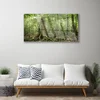 tulup.si Slika na akrilnem steklu Narava jungle forest trees 120x60 cm 4 obešalnika