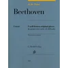 BEETHOVEN AT THE PIANO