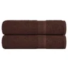 Vidaxl Brisače za roke FROGN 2 kosa rjave 50x100 cm 360 g/m2